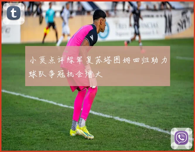 小莫点评绿军复苏塔图姆回归助力球队争冠机会增大